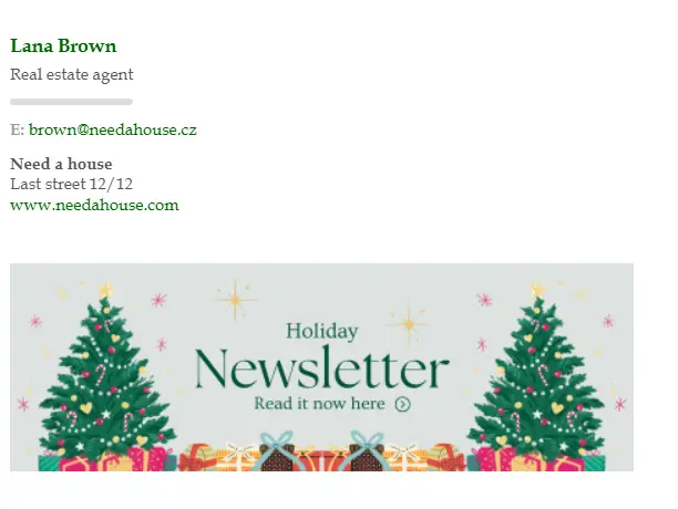 email christmas signature inspiration with banner newsletter